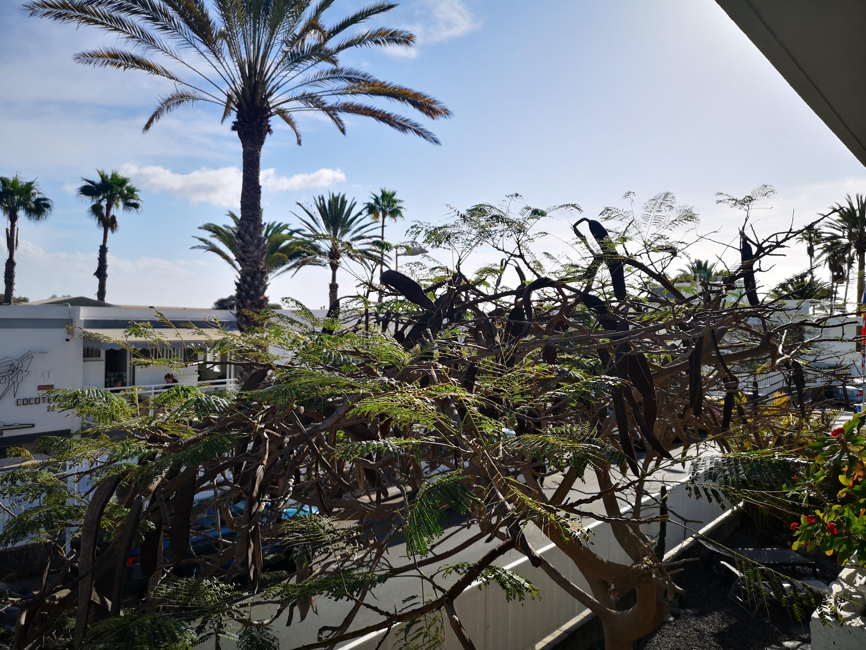 Apartamentos Tamara Maspalomas  Exterior photo